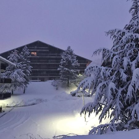 Auron Montain View Apartment Luaran gambar